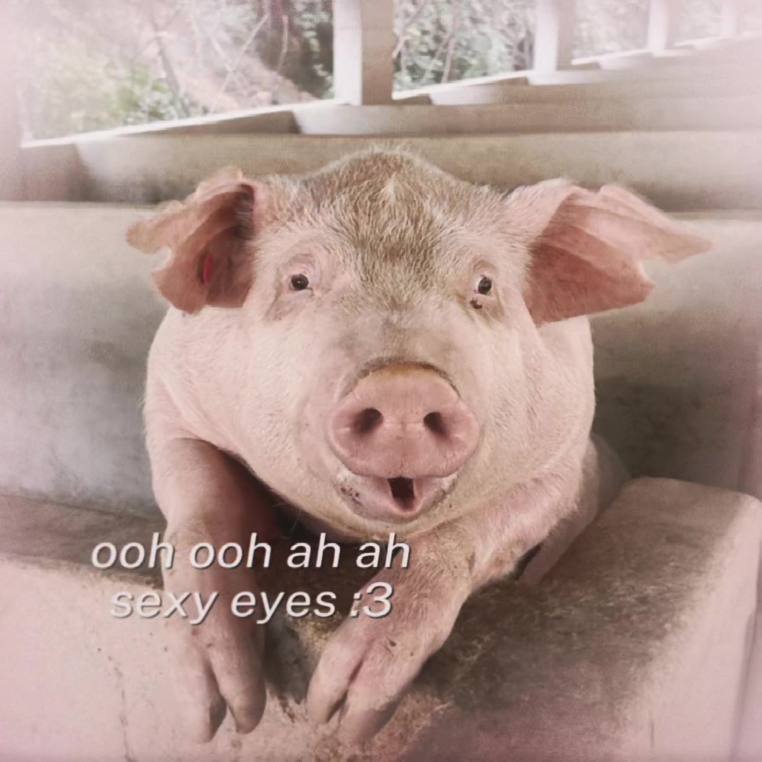 @биг свин🐖