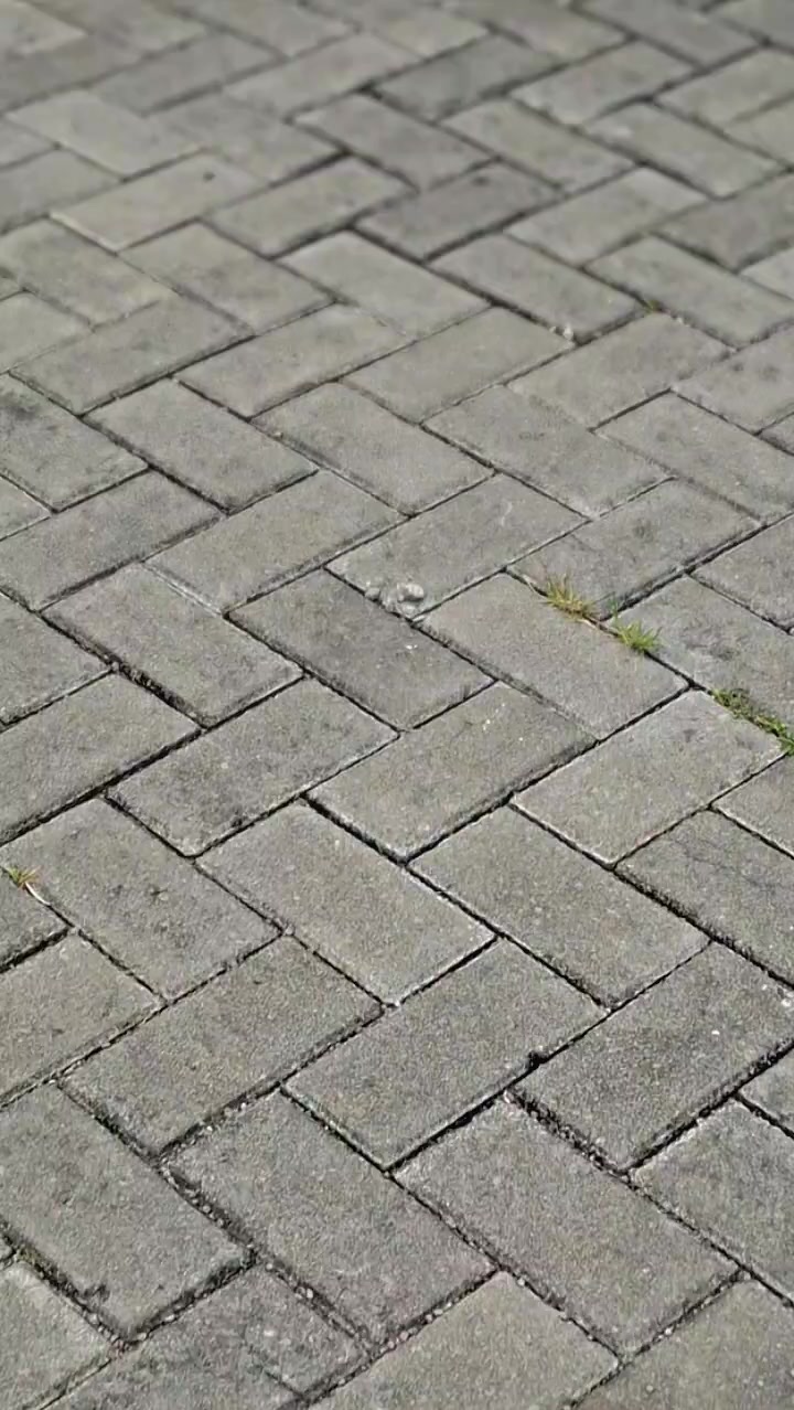 @rzkyshr