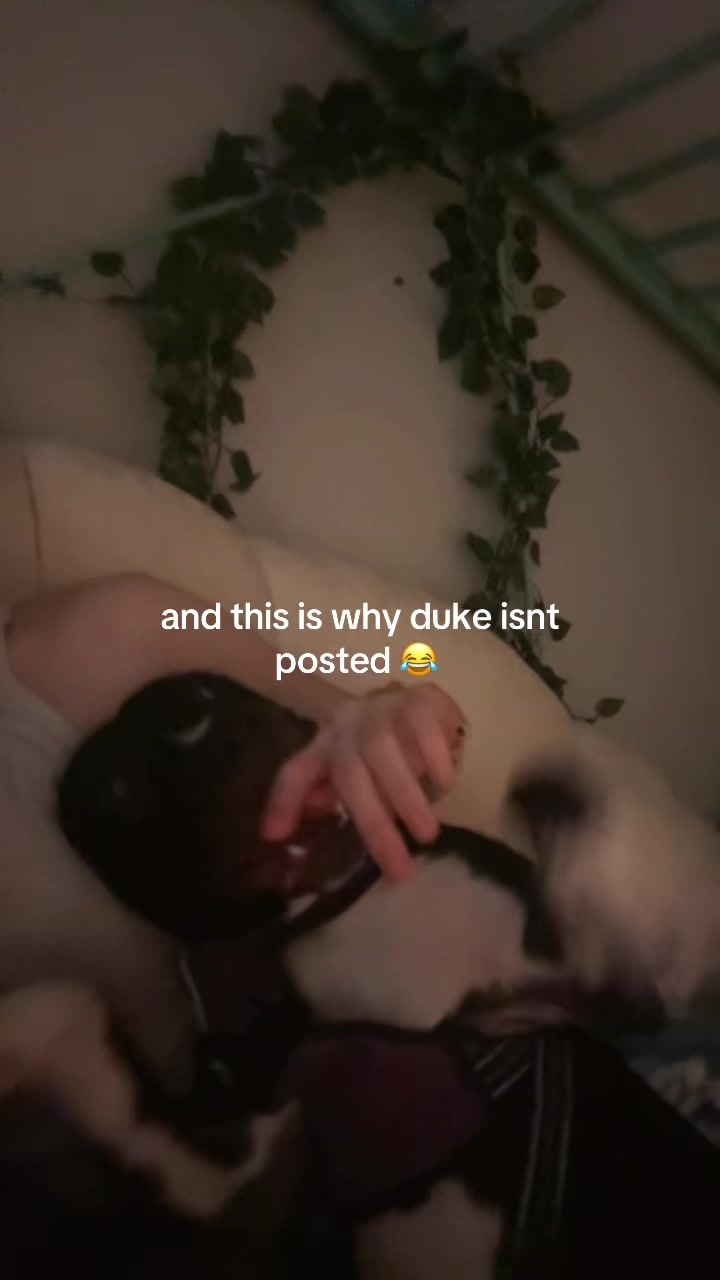 @daniiswonderfulpups🐾