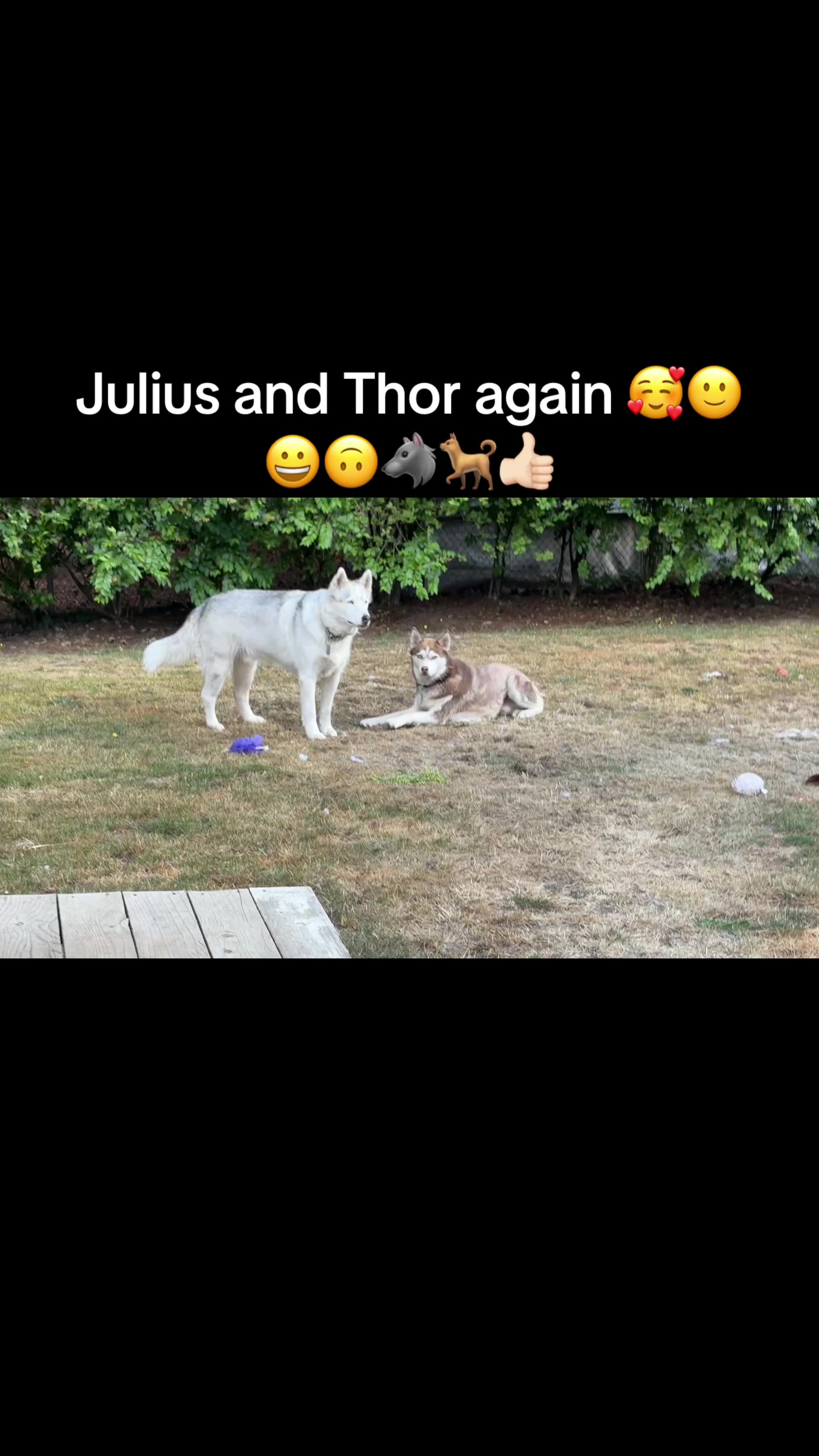 @janolouis95