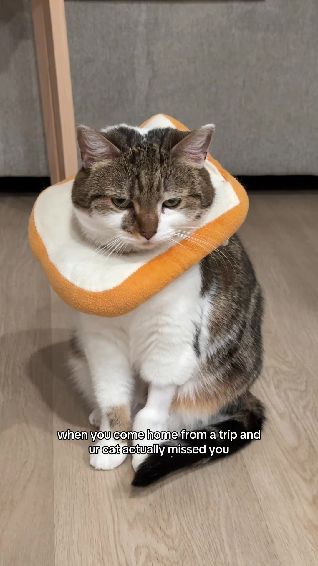 @Suki Purrs