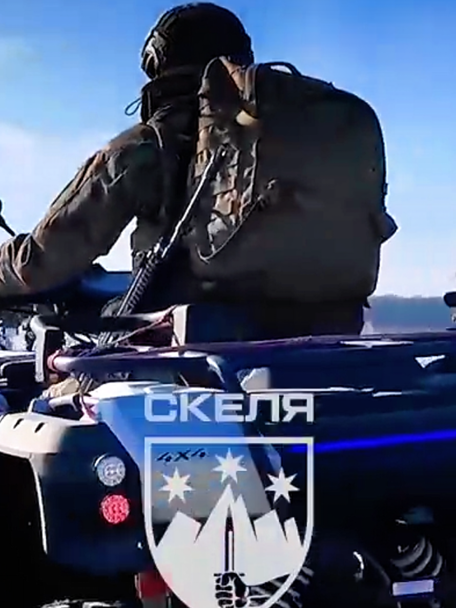 @AI Tiger
