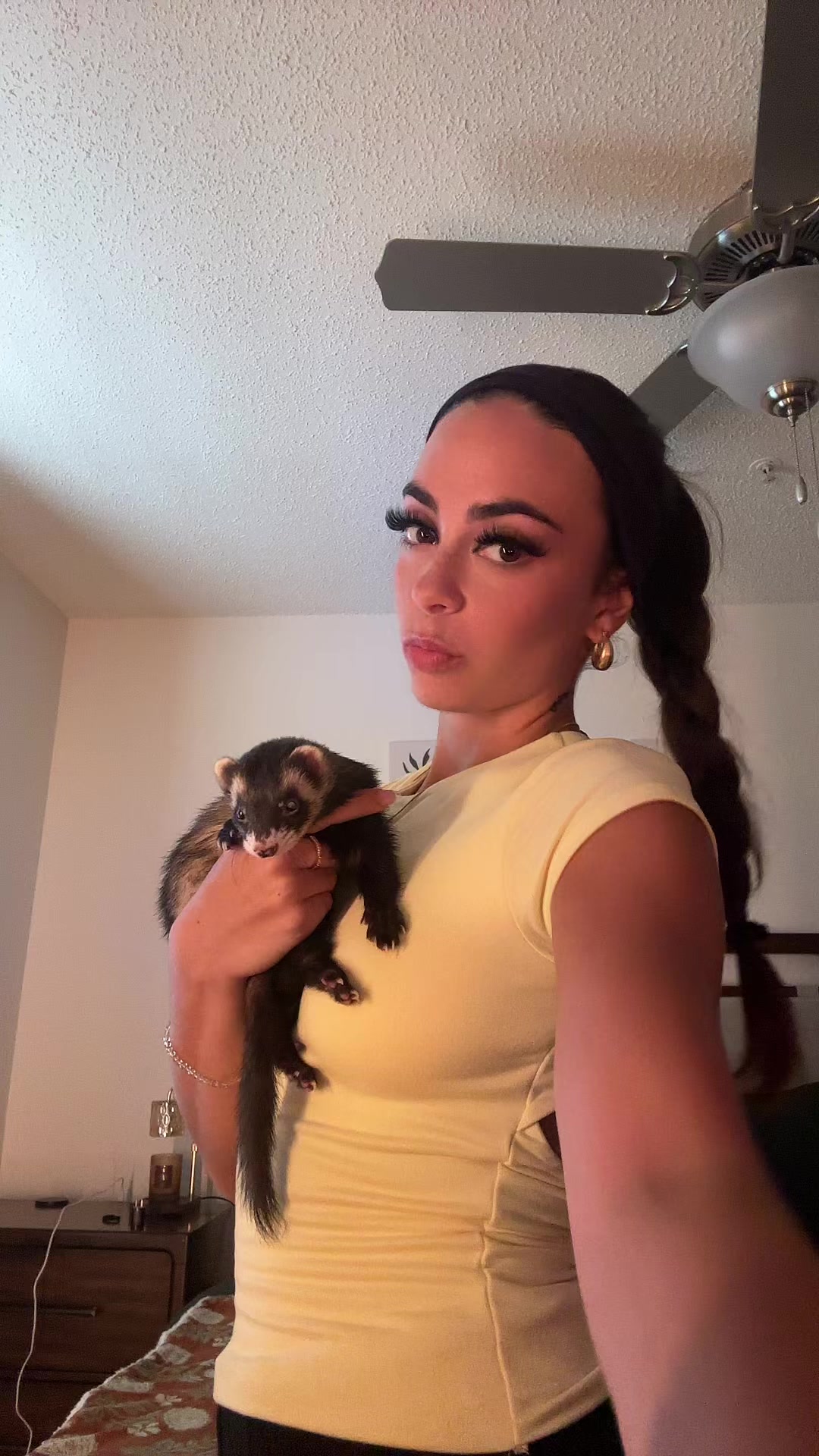 @dana.dinapoli