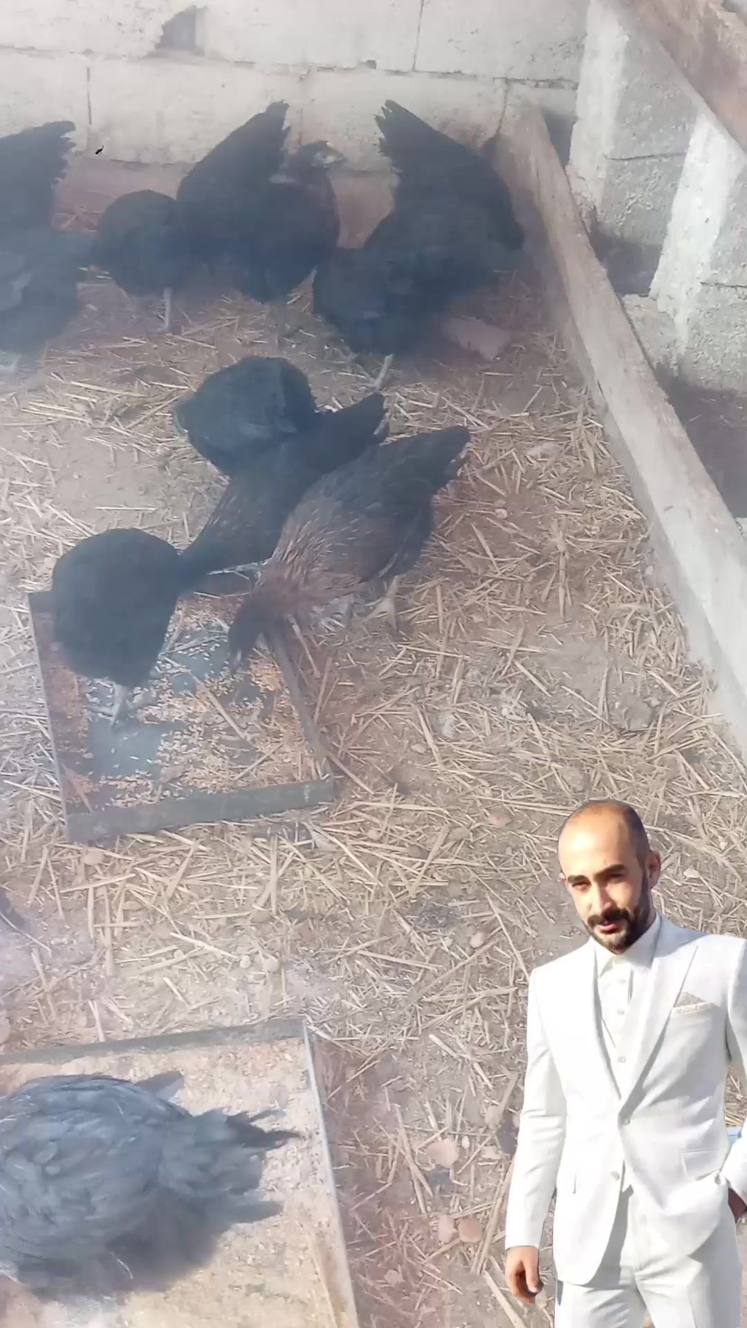 @nefretimsin dünya