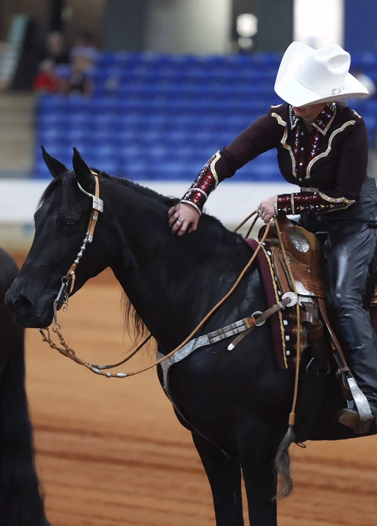 @Miranda | Equine Photographer