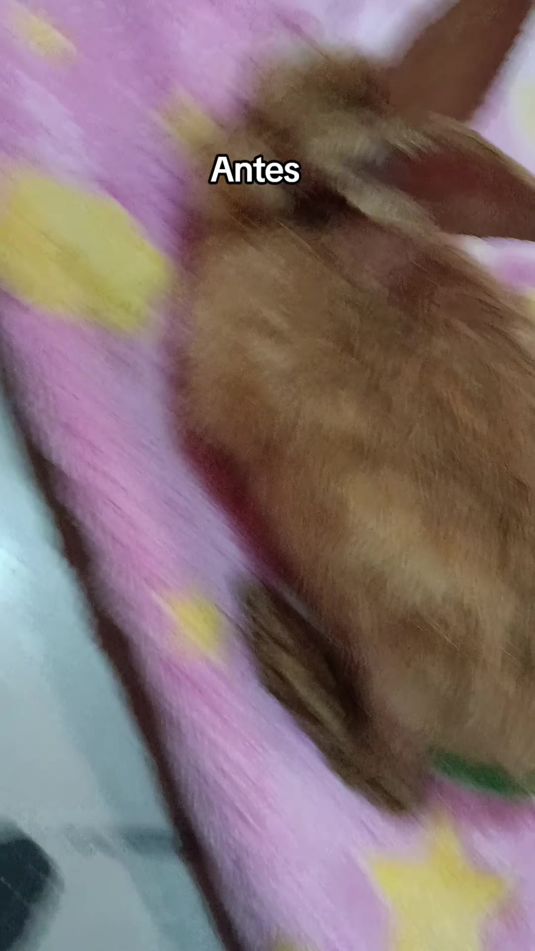 @٩⍢⃝𐙚۶