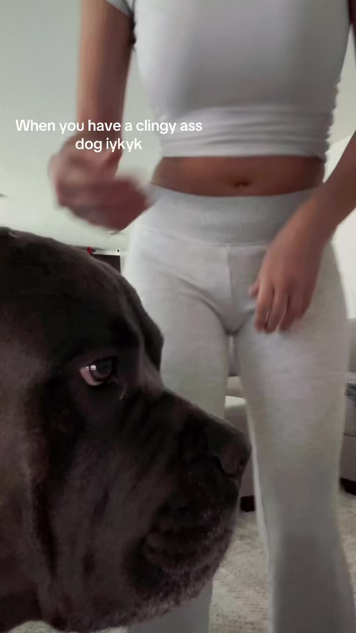 @Emilydowning
