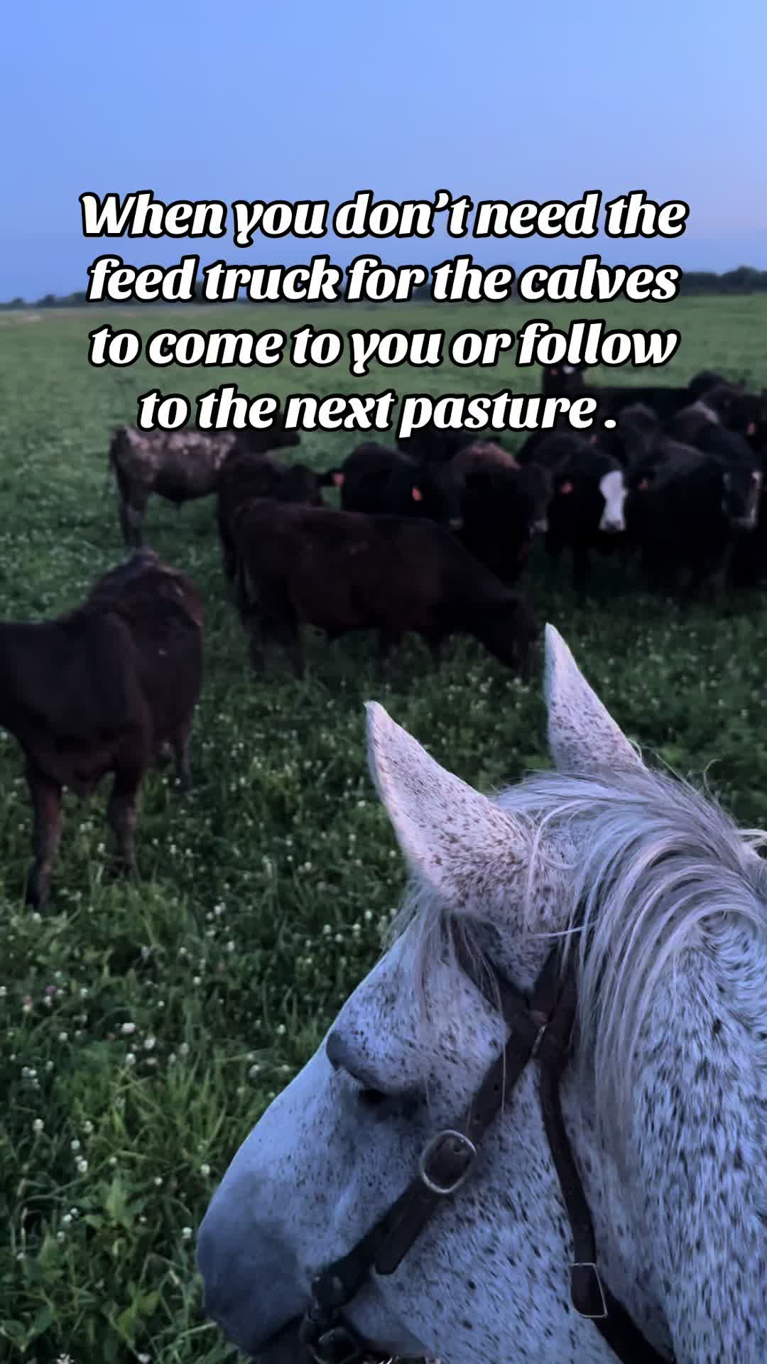 @lostgrassfarmer