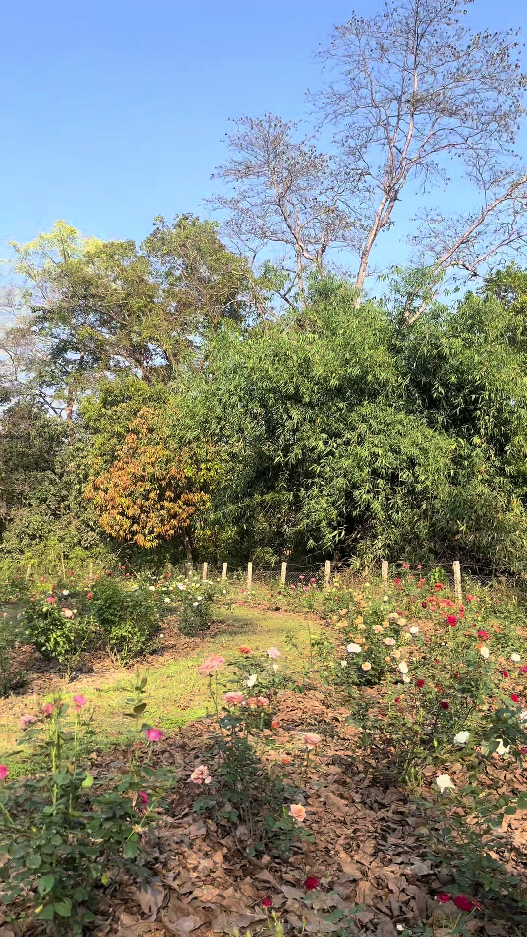 @नारायण 🧿
