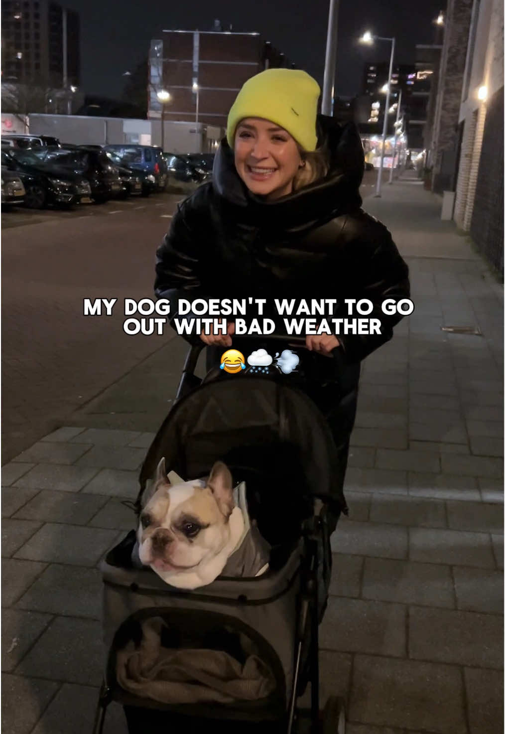 @Sunny 🐶