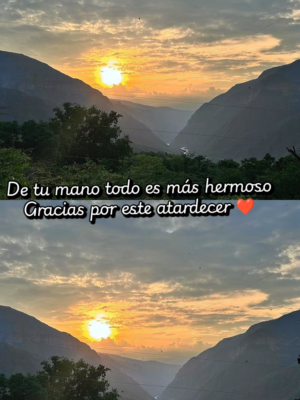 @Liliana Zabala Mendoza