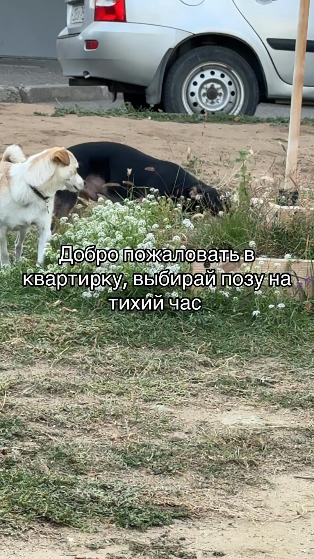 @𝖕𝖆𝖗𝖎𝖘𝖍 𝖛𝖎𝖘𝖎𝖙𝖘