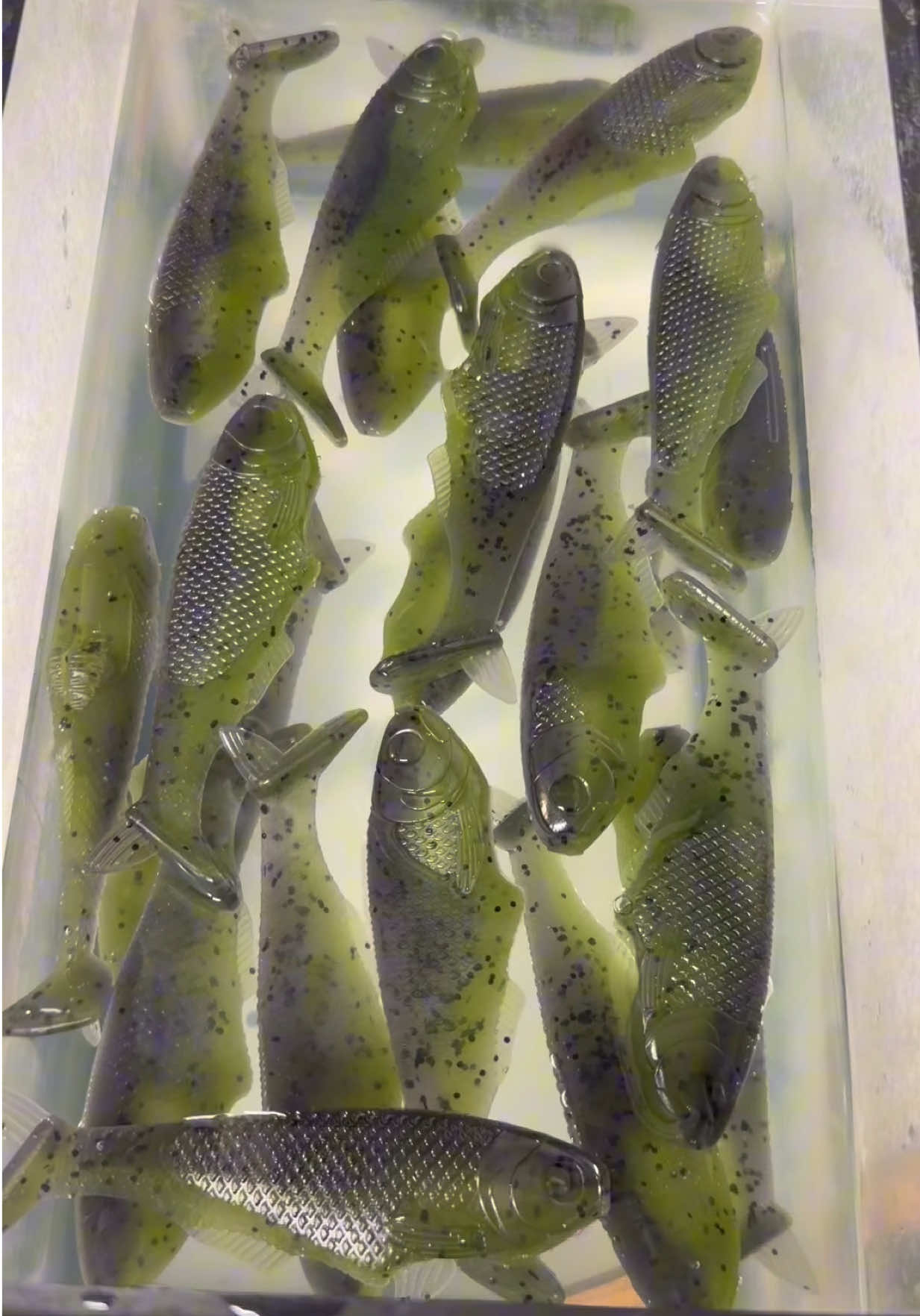 @Tacklehead Fishing