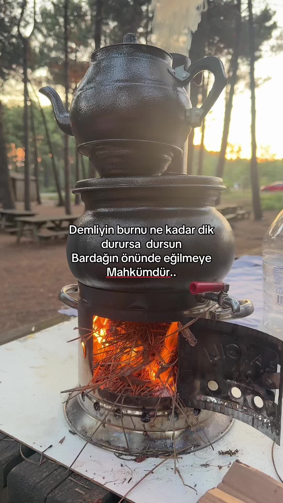 @Canan Bildirici💯