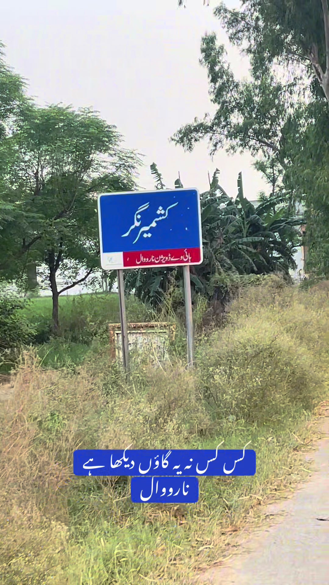 @Rehab Fatima 🇵🇰