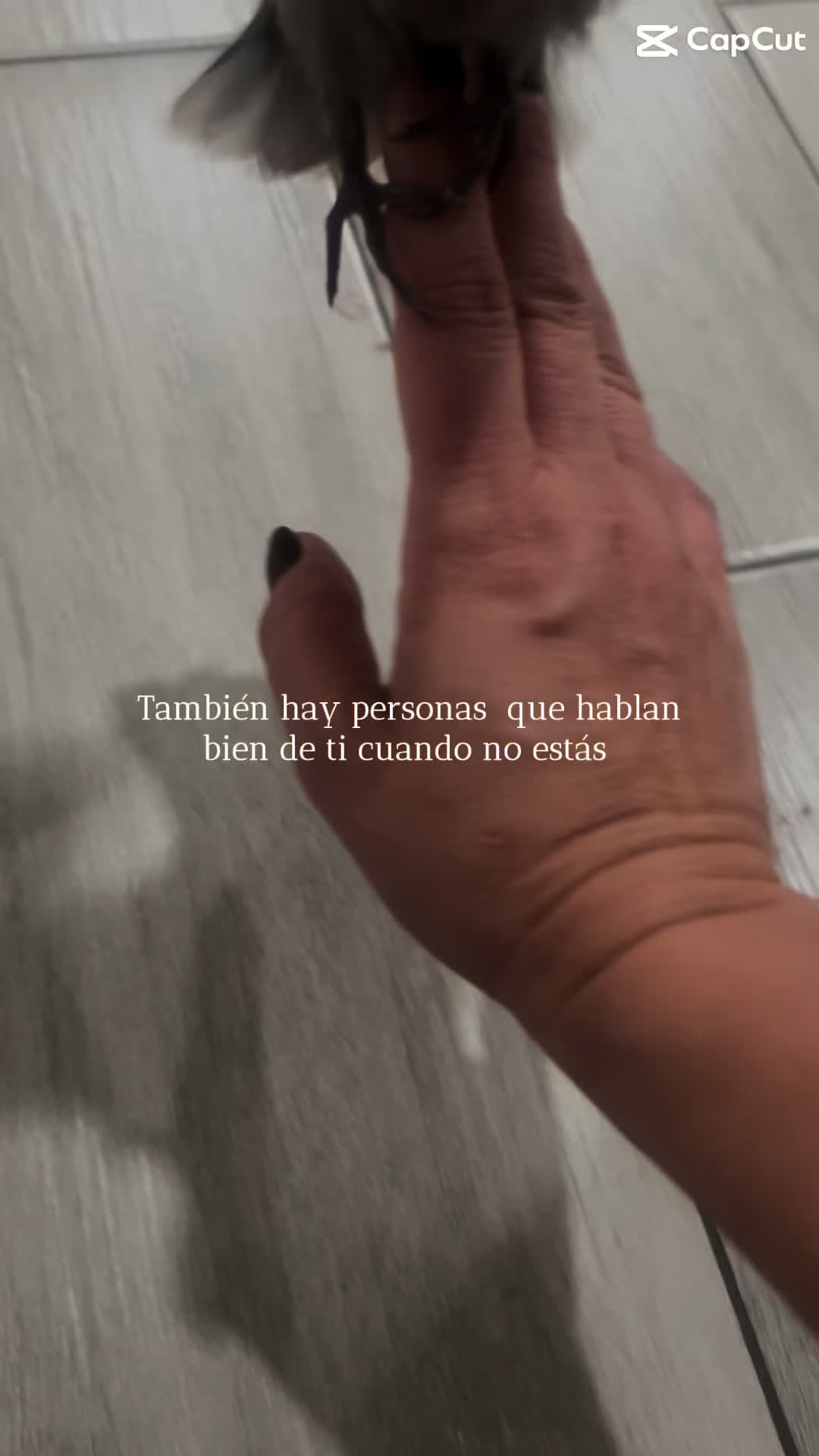 @anabelllopezrodri