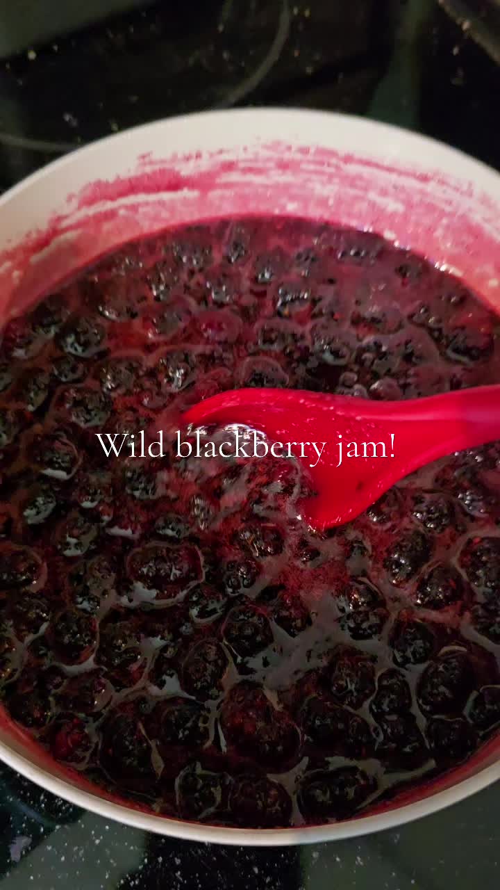 @ivywisteriawild🐝🌿