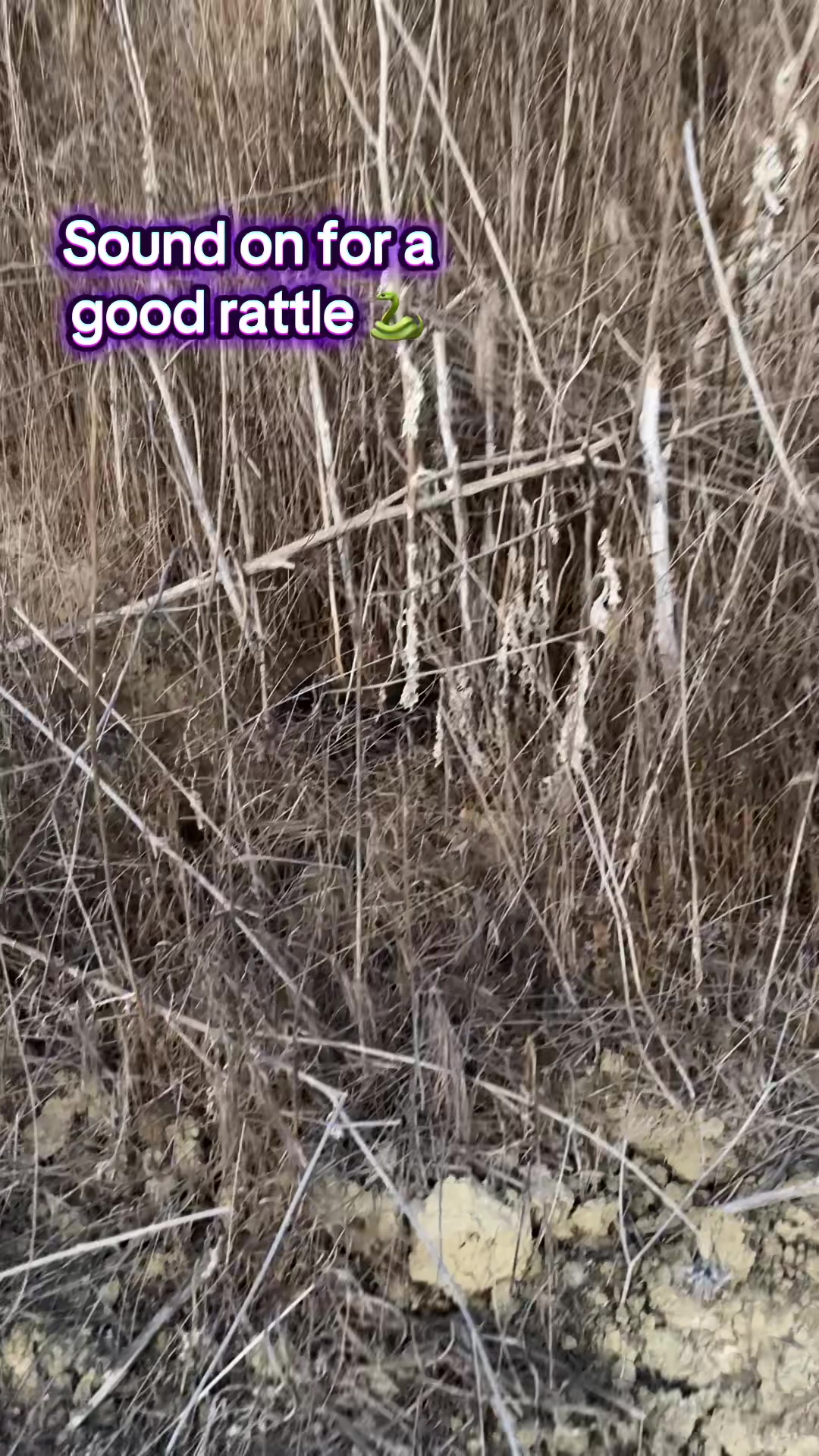 @Nature is Surreal