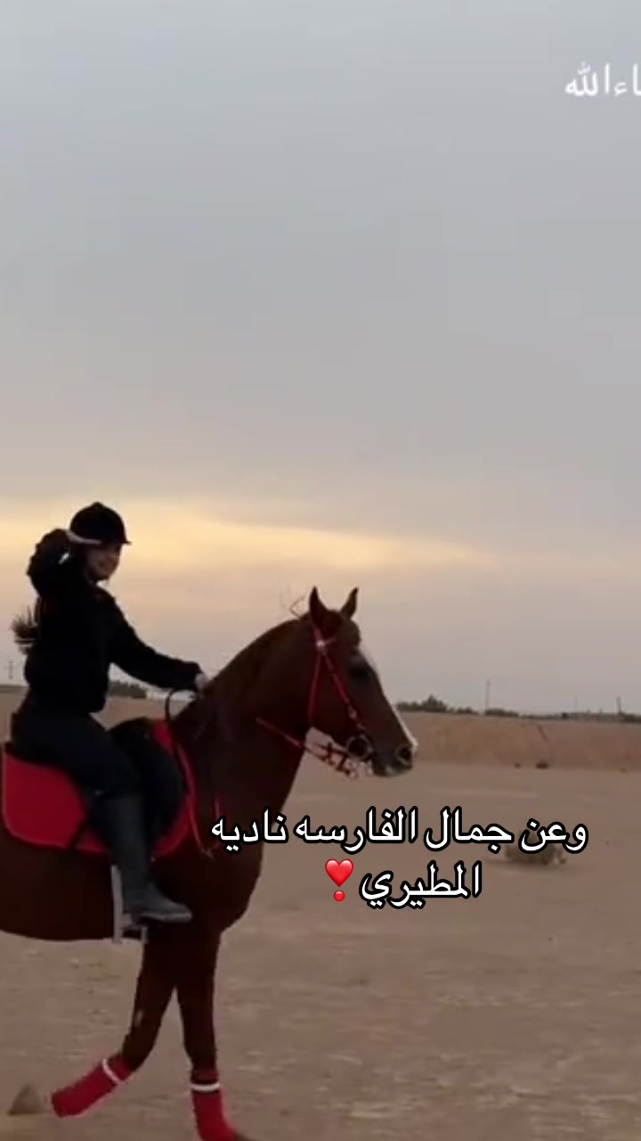 @فارسات وفرسان سدير