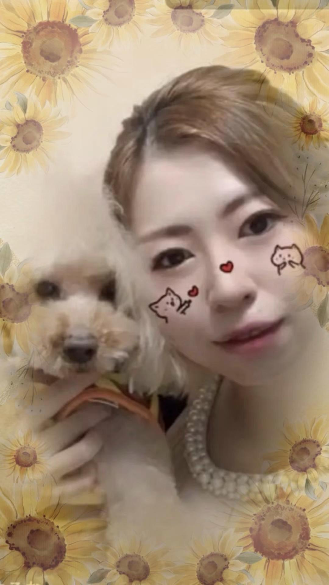 @ðð¥maimai06.27ð¥ð