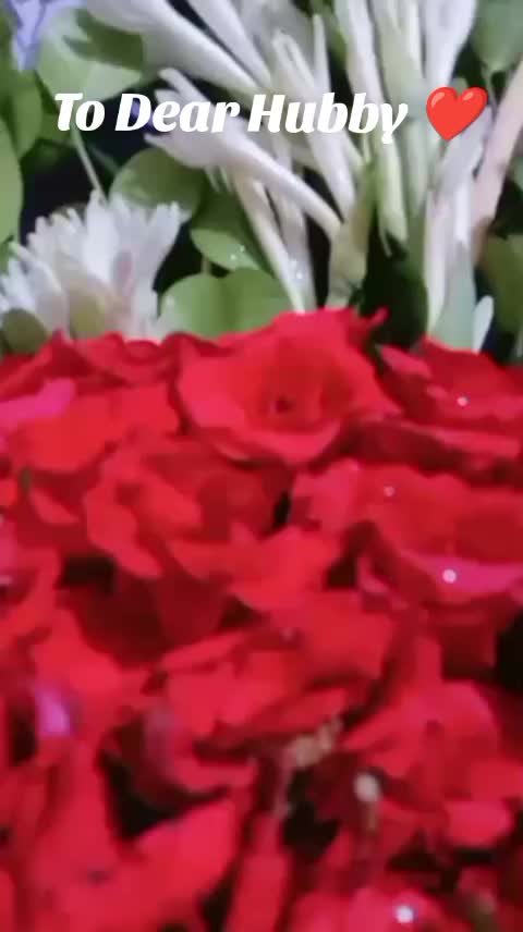 @(RT)Tryfina Bhatti