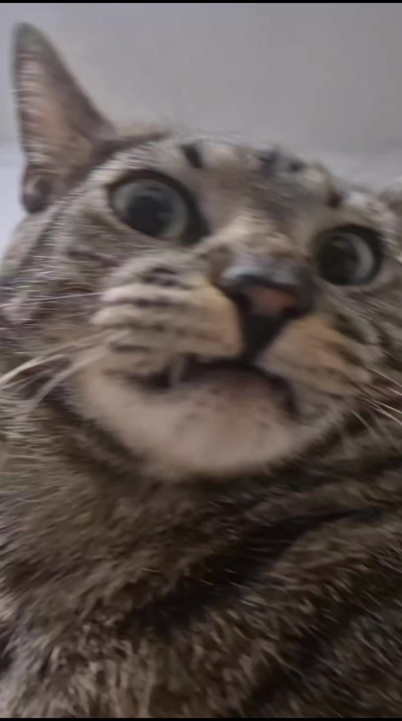 @Mushu