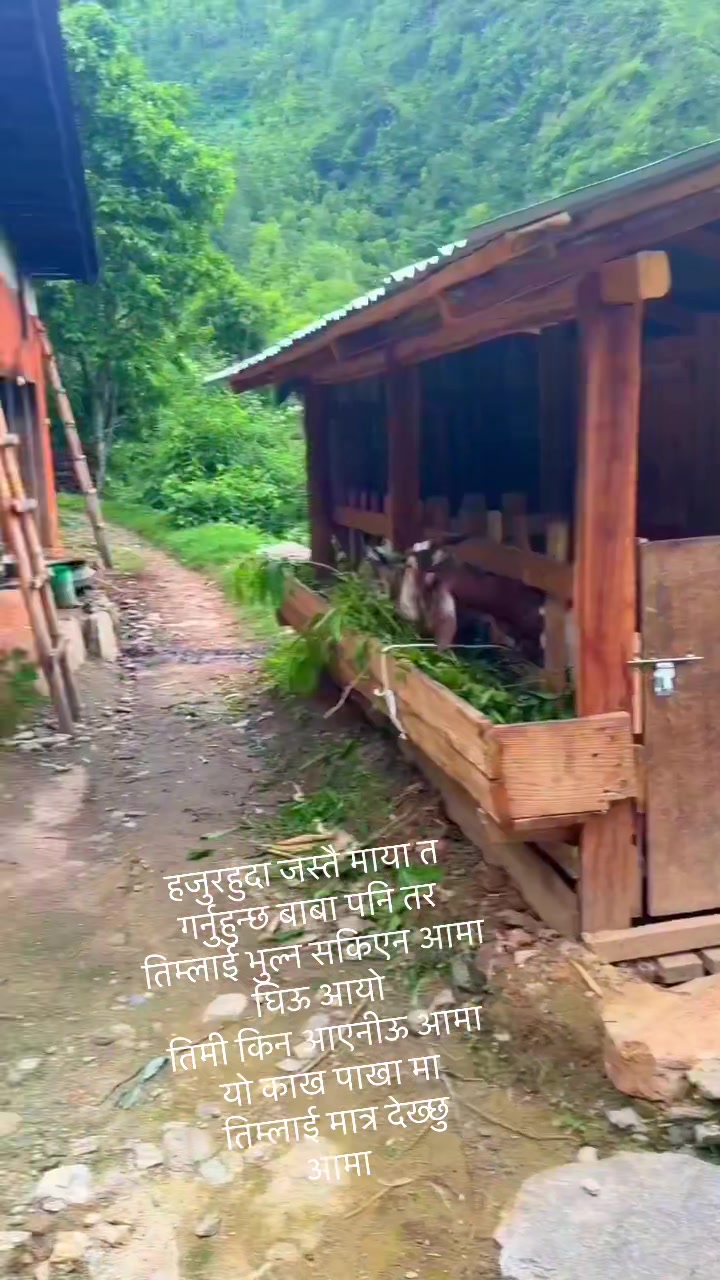 @Dipa dipesh