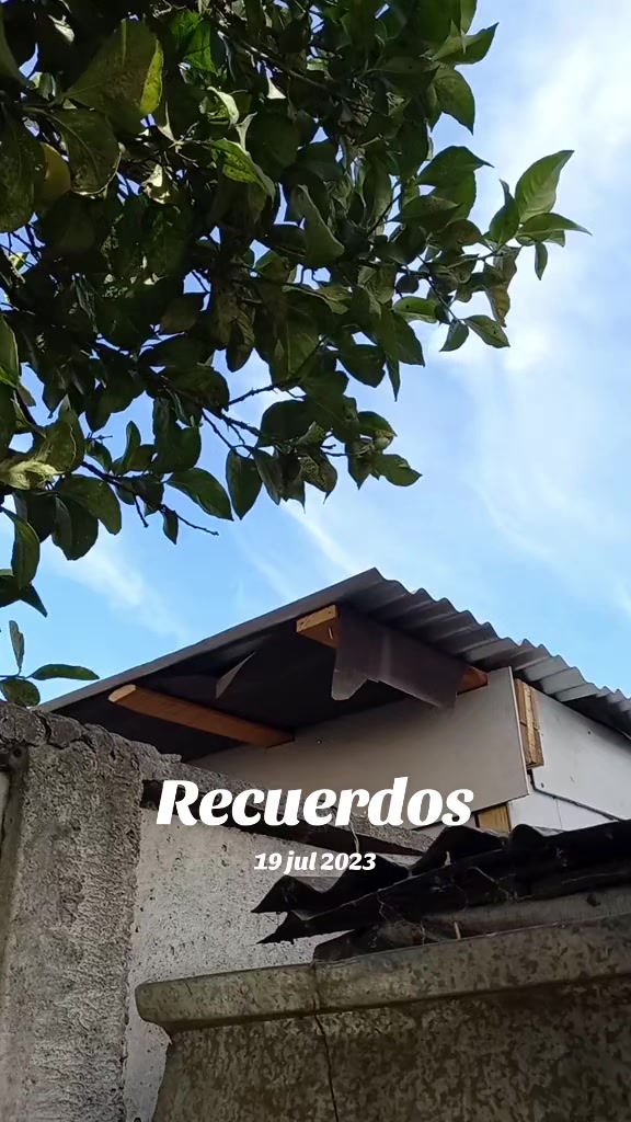 @Mario Orlando Oses