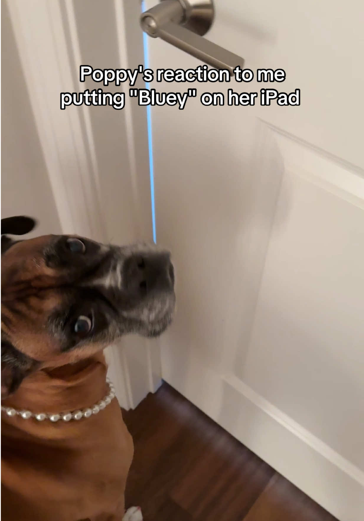 @Princess Poppy