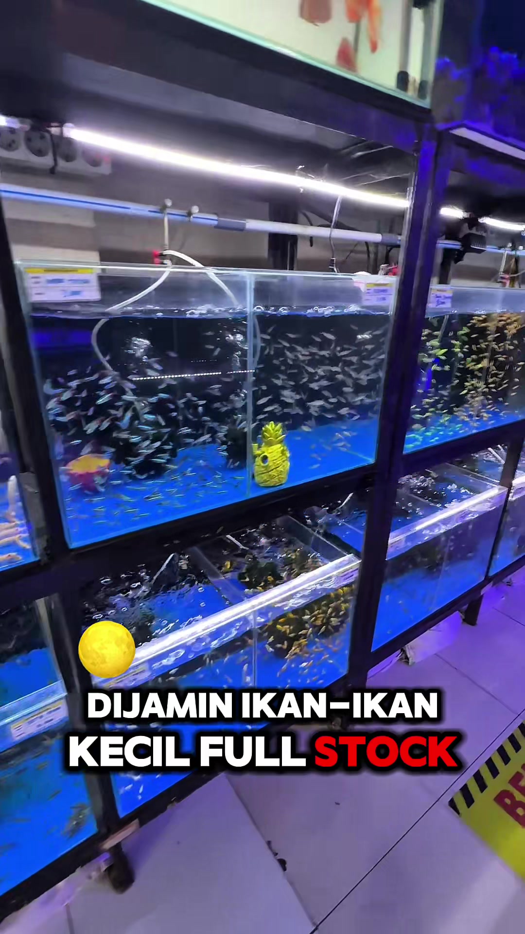 @Aquatic Garage Bekasi