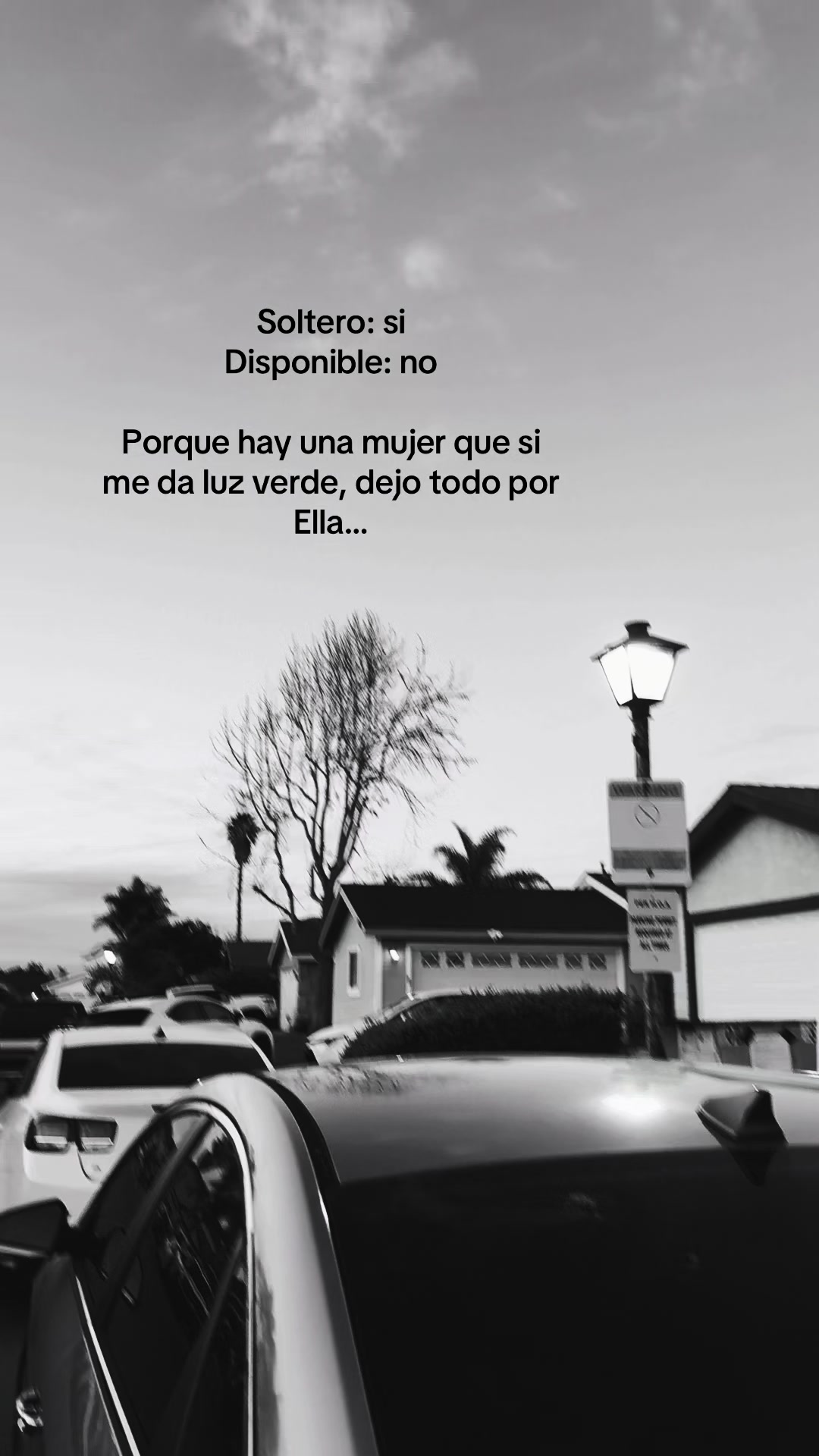 @SL Vega✍🏻☘️👑