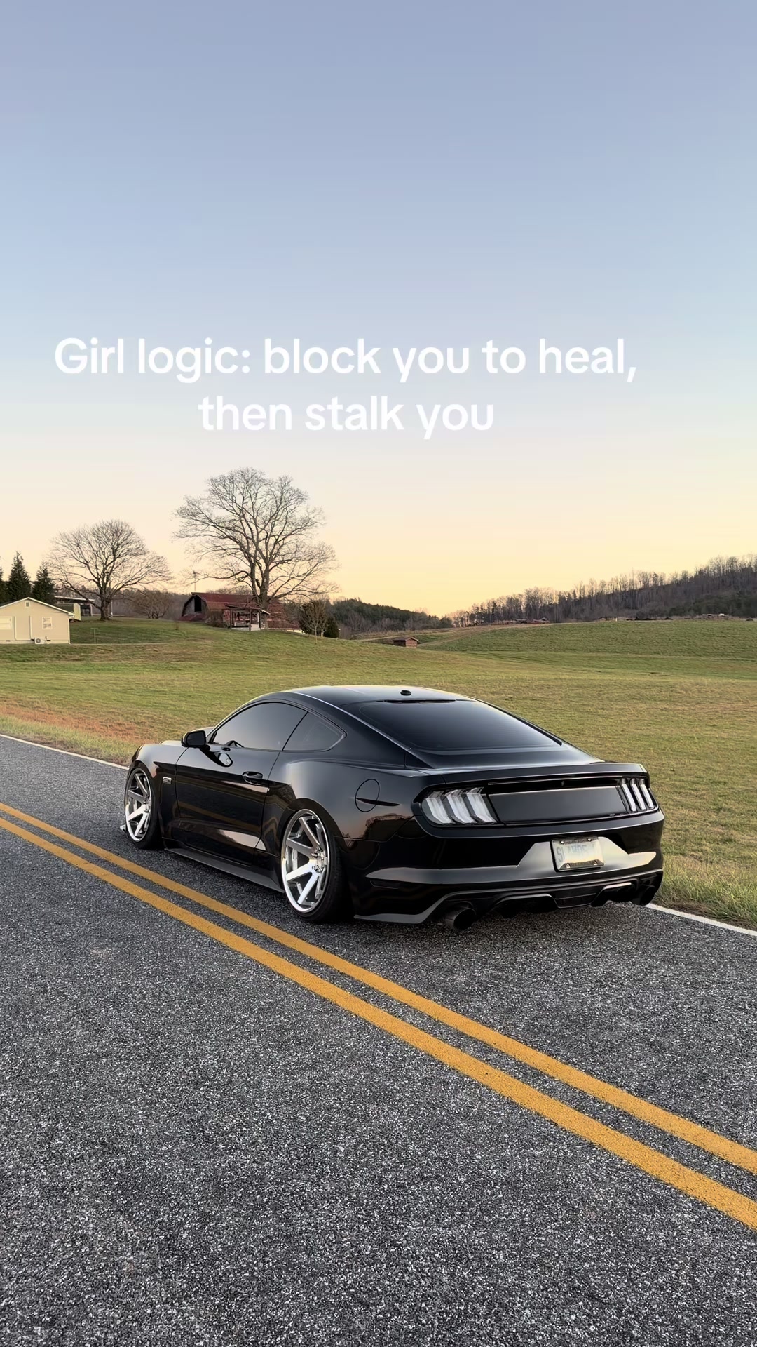 @Wayne Barter