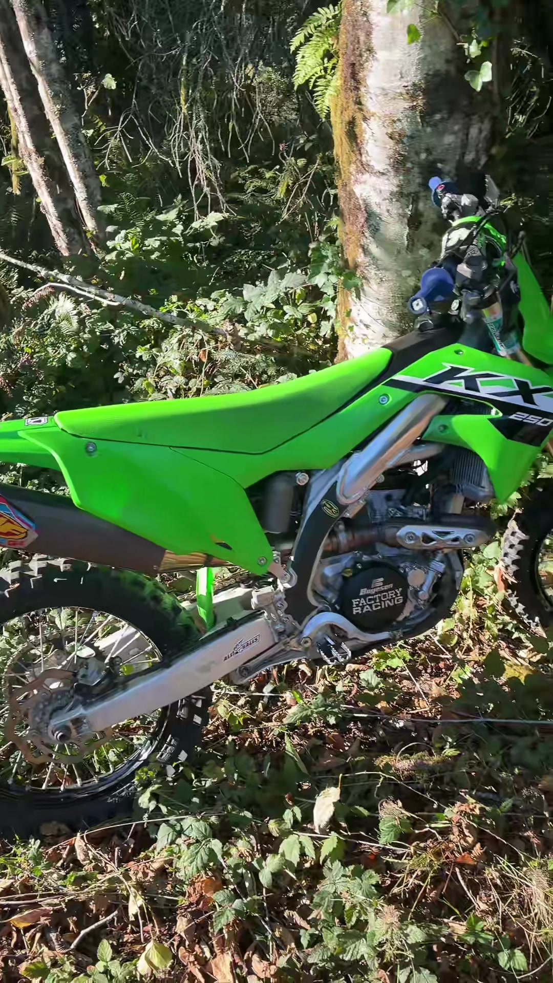 @rippin137