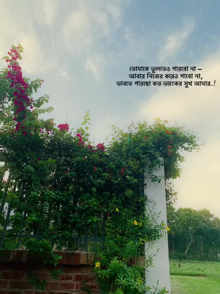 @đ§âī¸ FaRiađ§âī¸