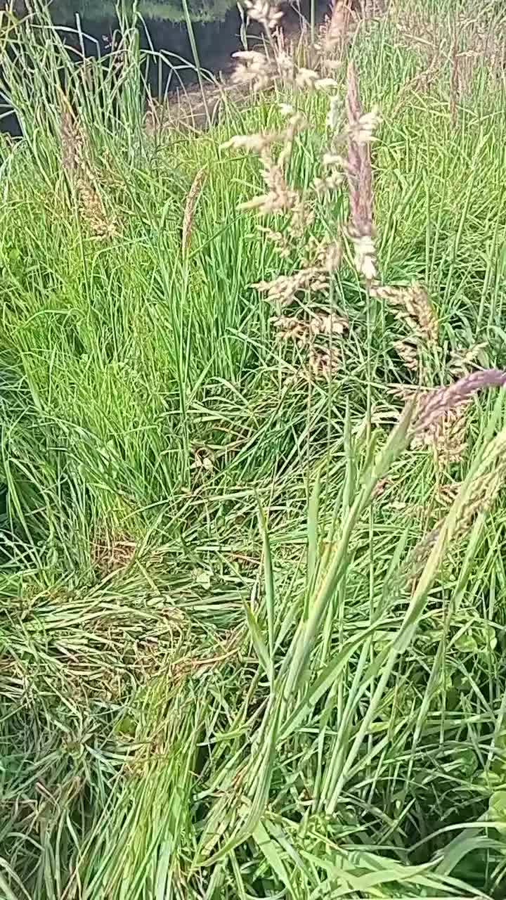@Transito tenezaca