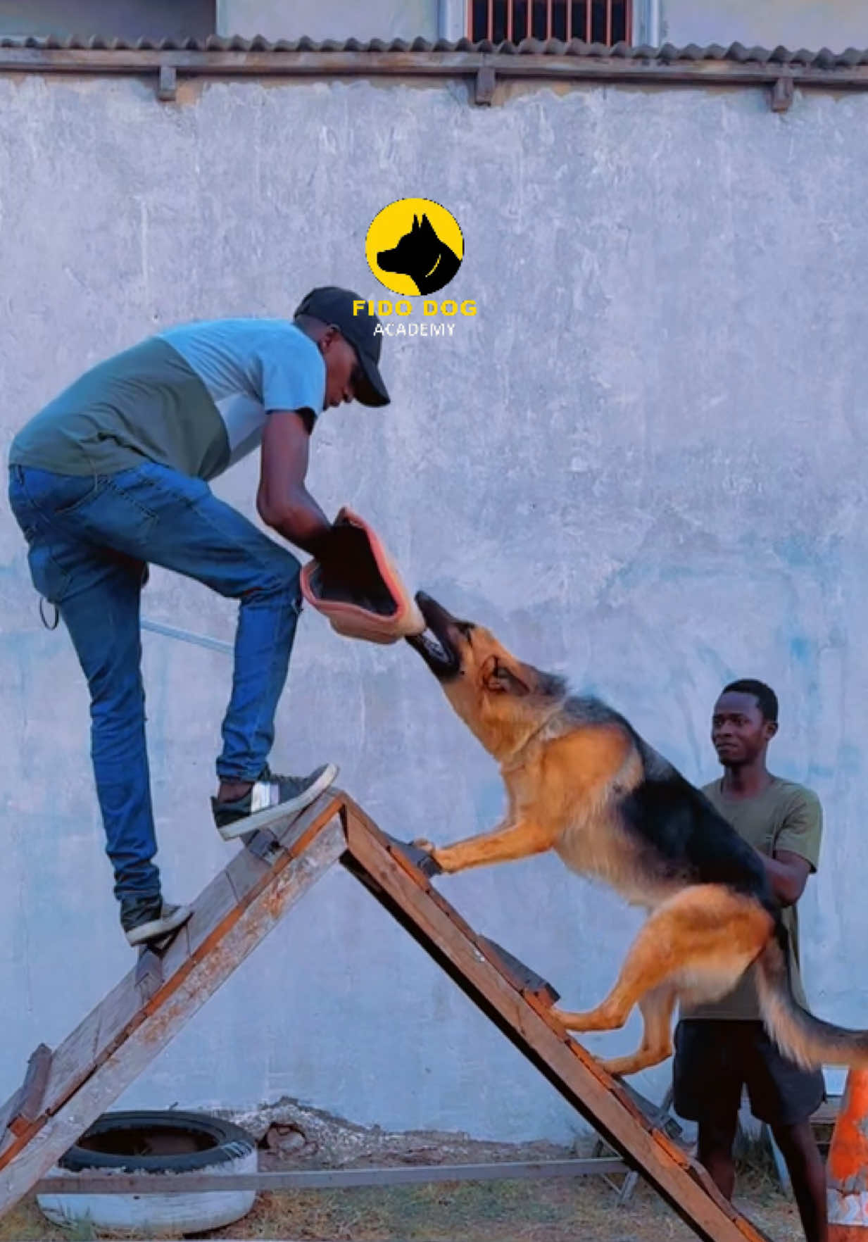 @Dog Master