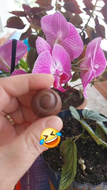 @Hediye Atasoy