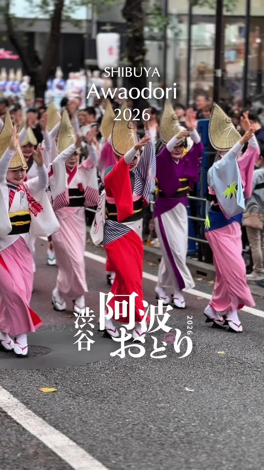 @のらよ🏮Norayo