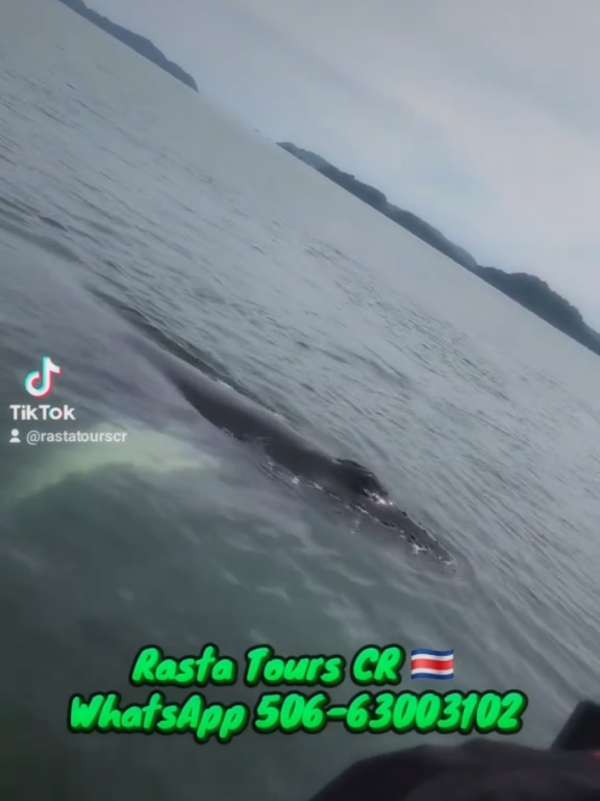 @Rasta Tours CR