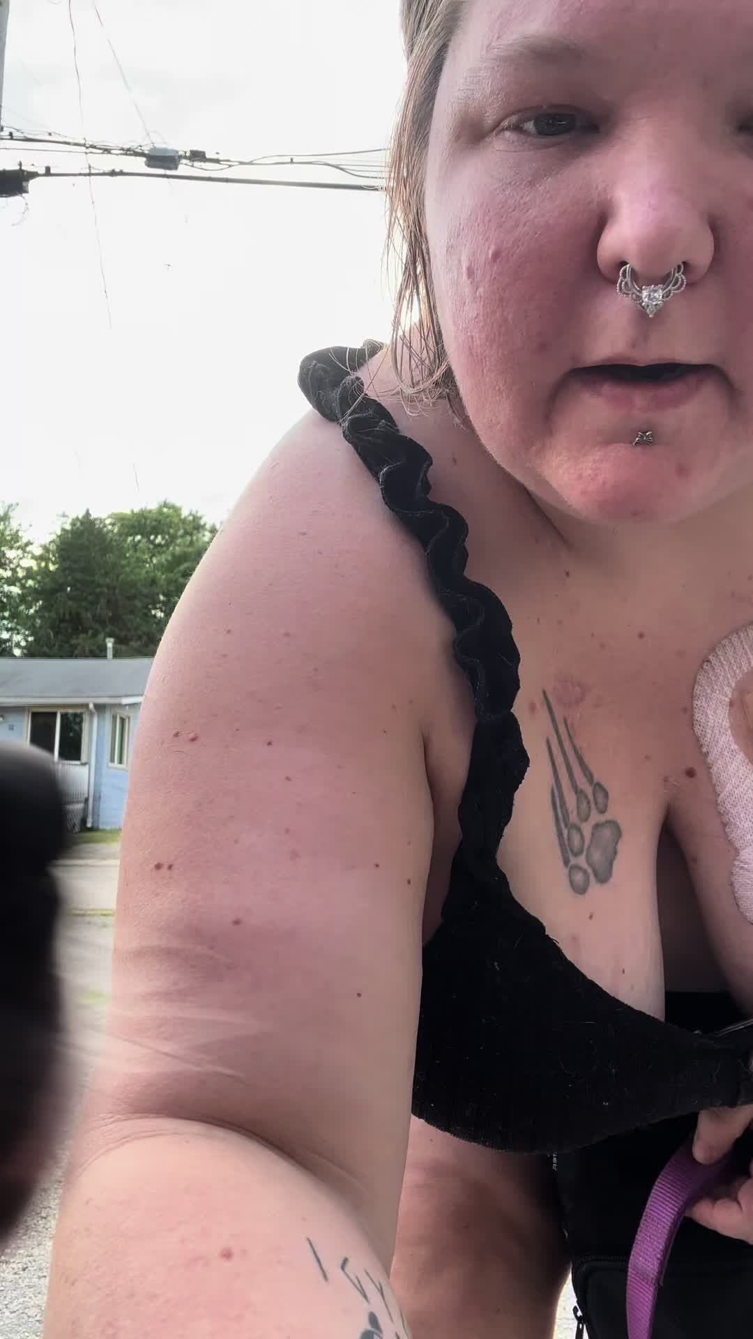 @ladyvetandherpack