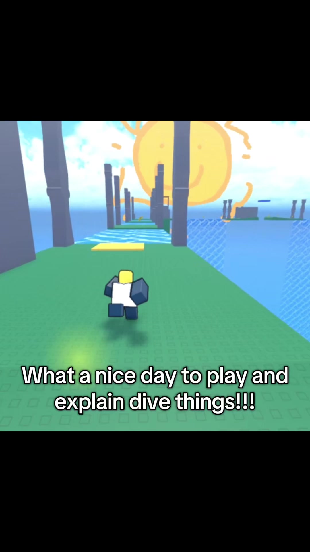 @NullDIVEr