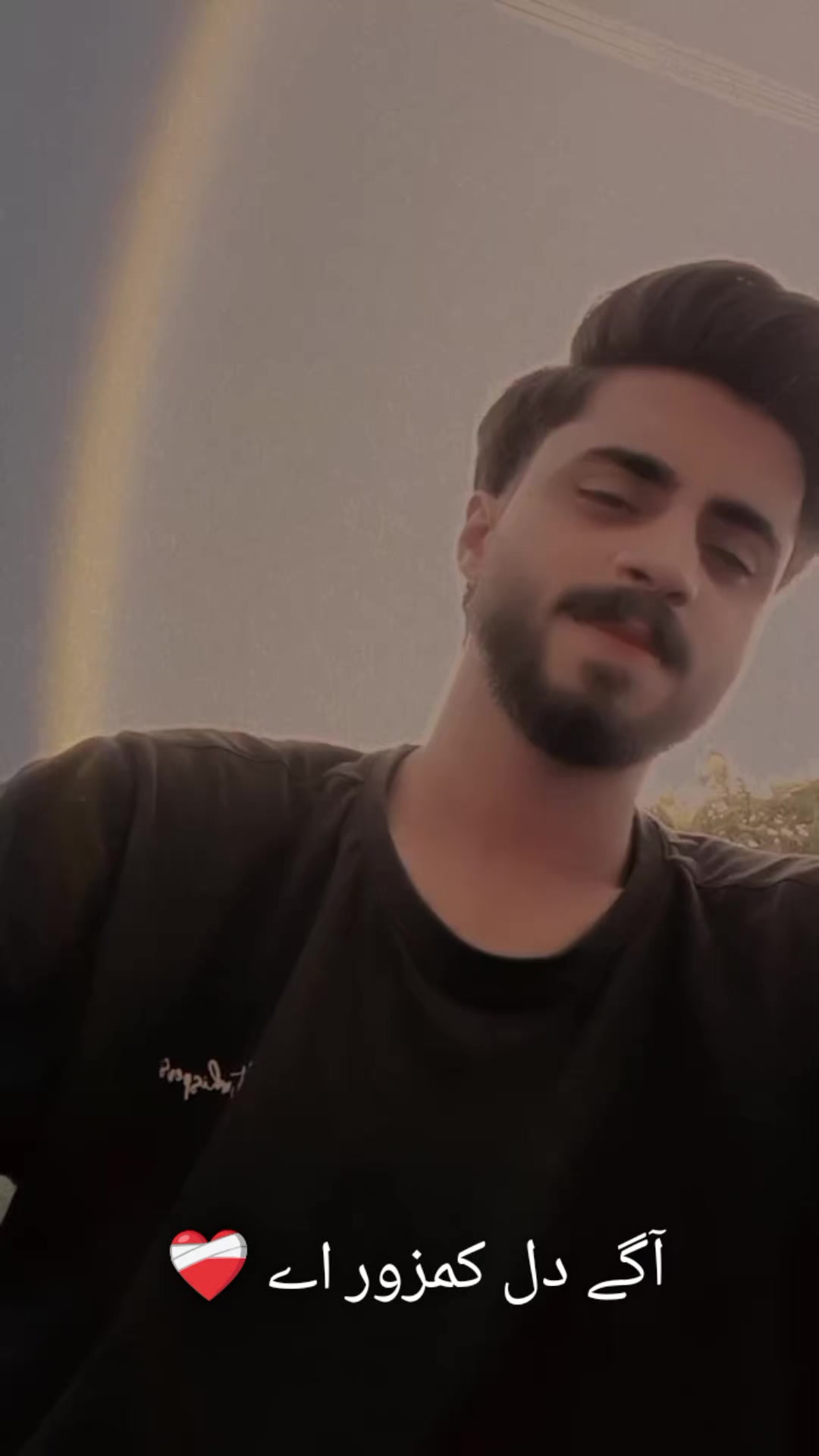 @🕊️🕷️