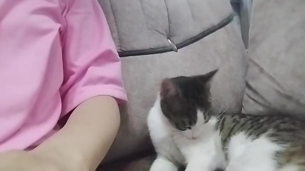 @miniş