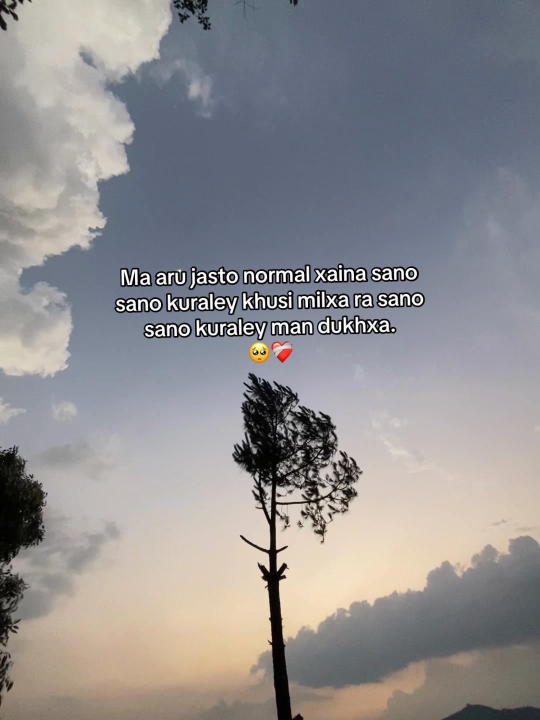 @RAMUUUUU🍃