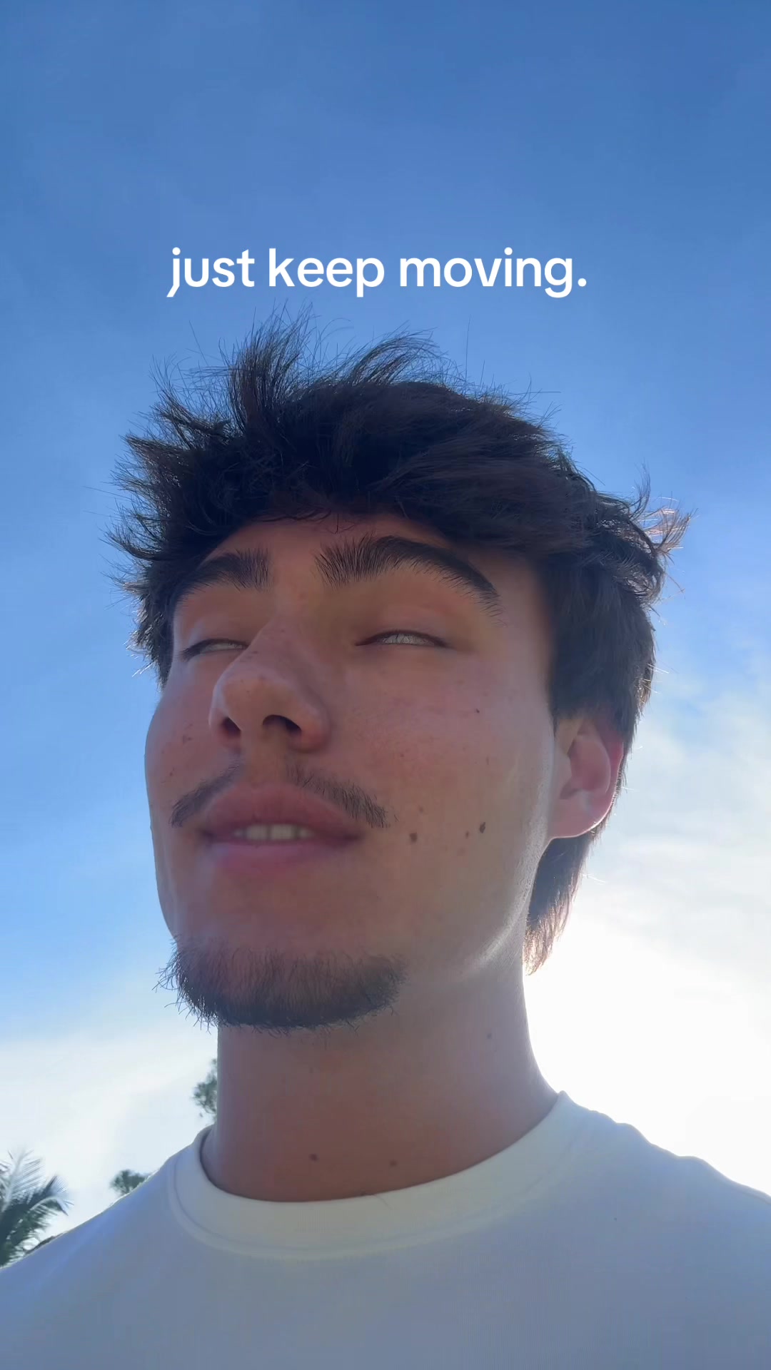 @mendiolaenusa