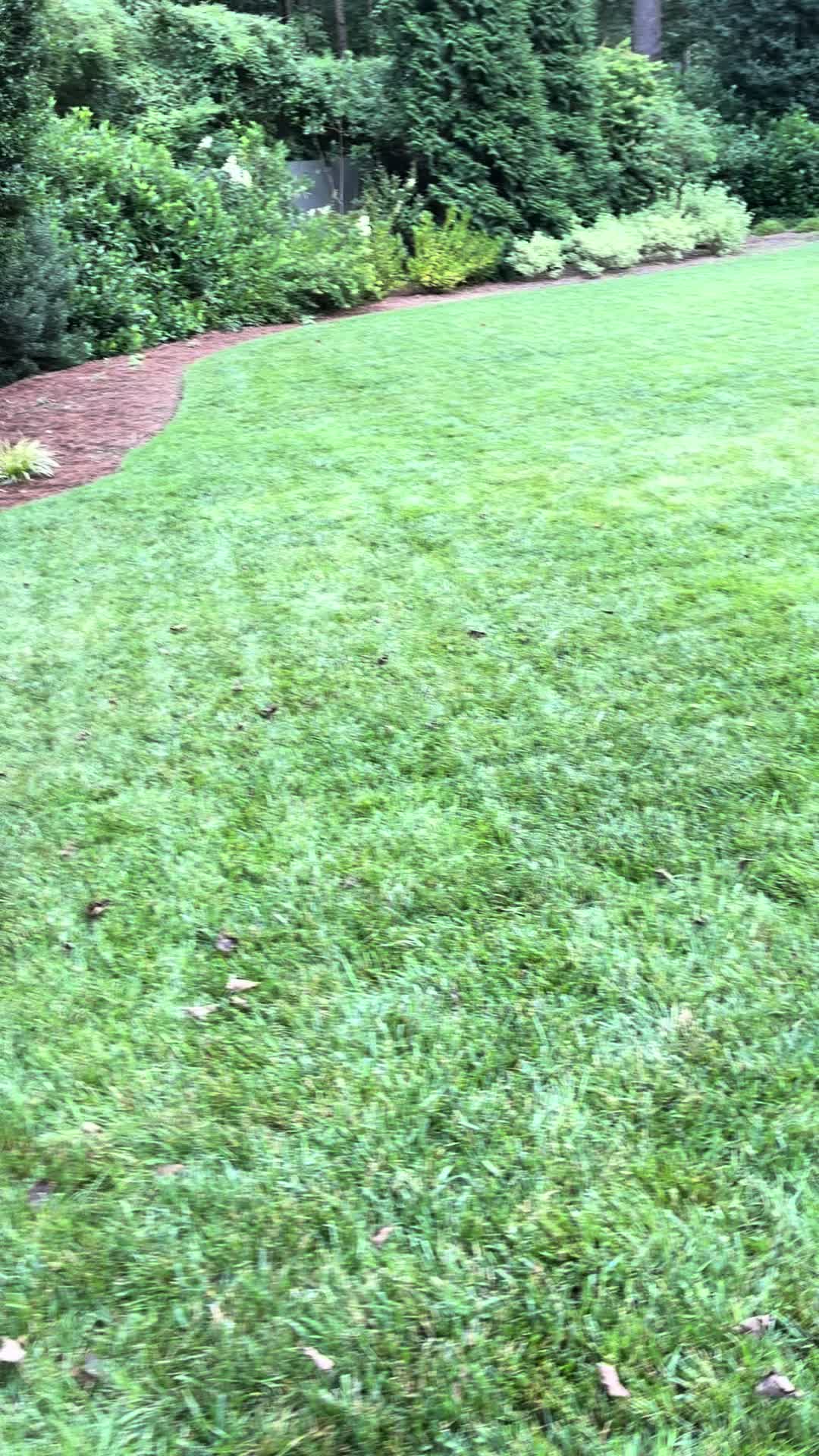 @frontporchchatter