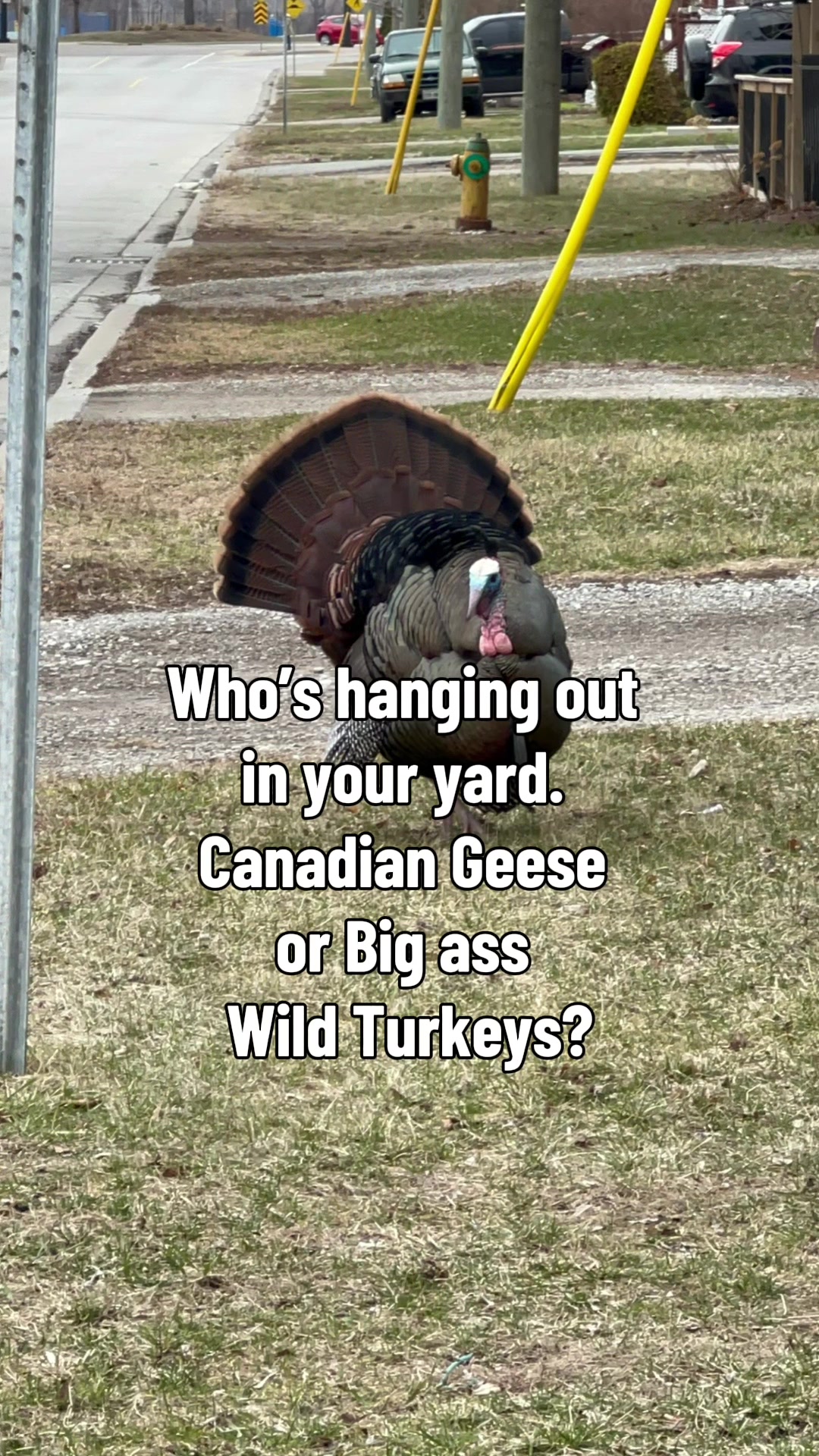 @John_Tammy🇨🇦