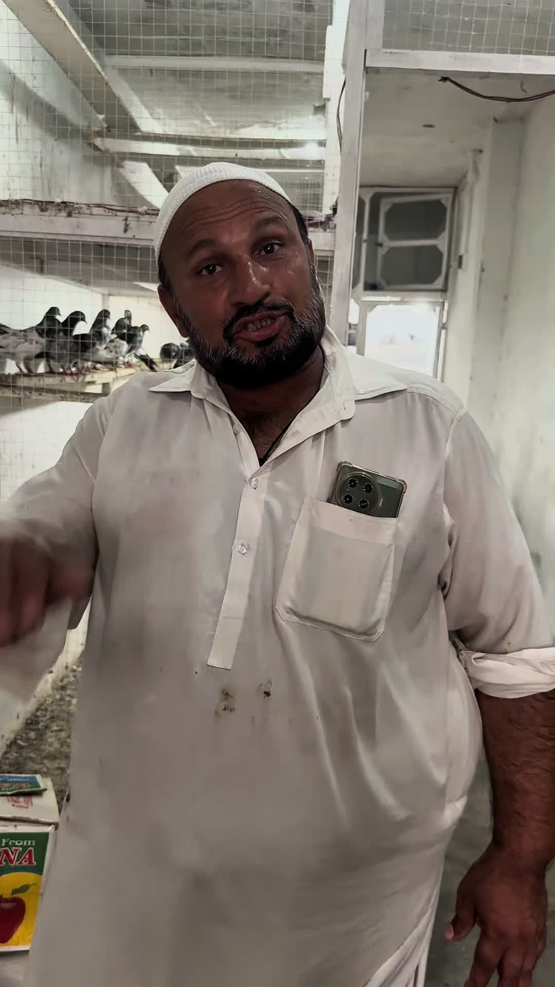 @Lahore Pigeon
