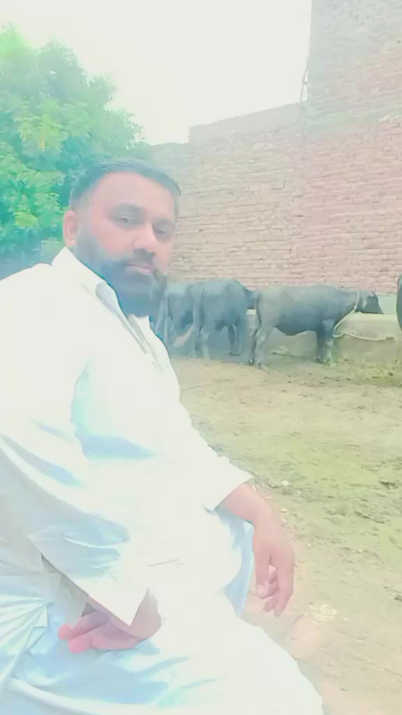 @amanat Kasai