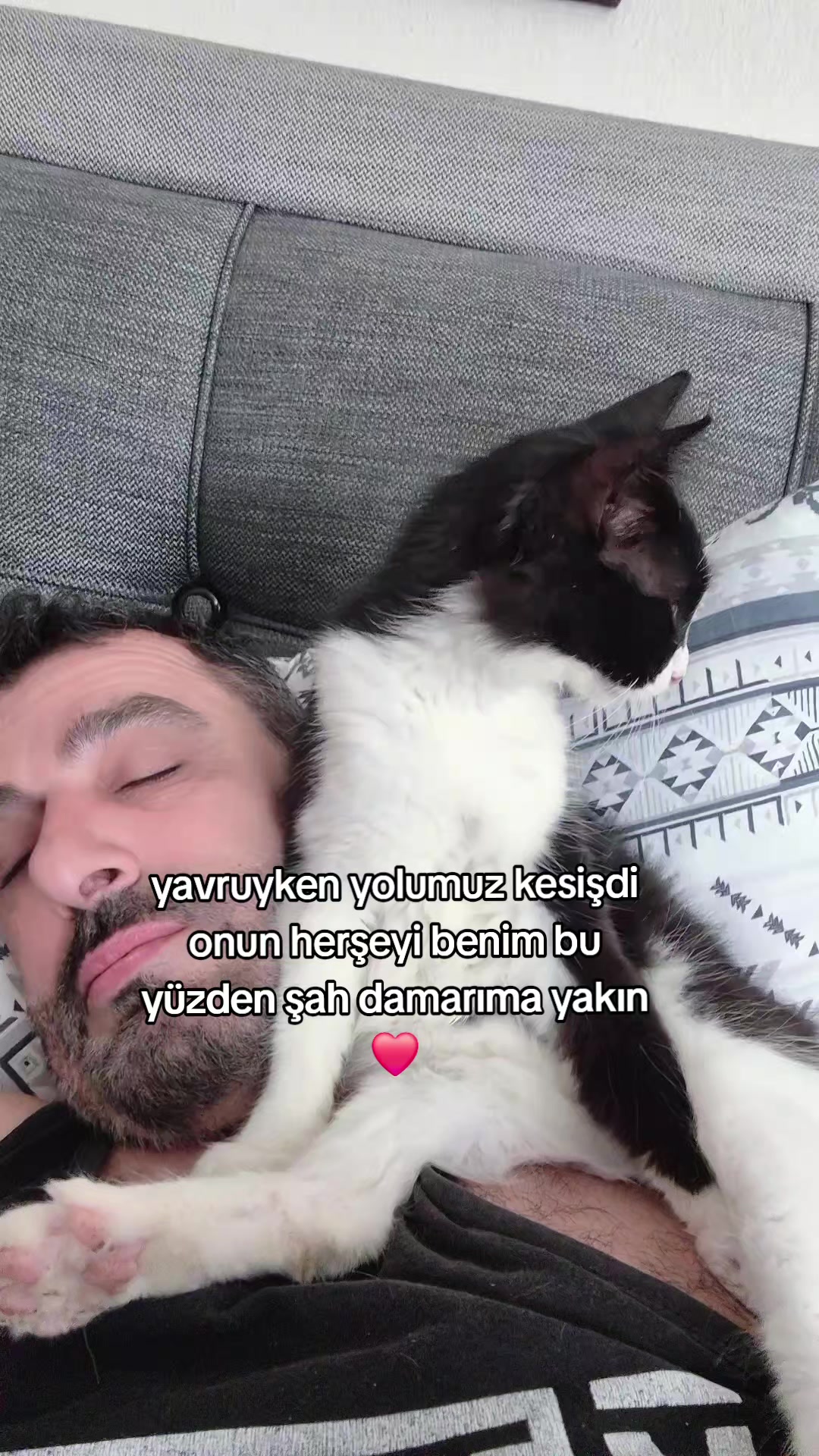 @kuzey